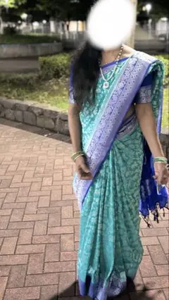インドサリー