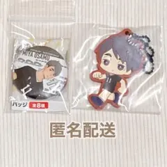 ハイキュー 宮治 水遊び 缶バッジ セット 宮治 ハイキュー 水遊び 缶バッジ 12-5 - メルカリ