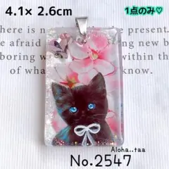 同梱値引100円❤️No.2547 レジン ペンダントトップ 猫 ネコ ねこ