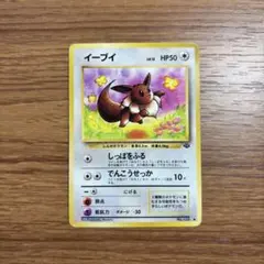 ポケモンカード イーブイ 旧裏 第2弾拡張パック ポケモンジャングル イーブイ ○ 第2弾拡張パック ポケモンジャングル 旧裏 PSA9