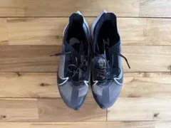 Nike ズームグラビティ