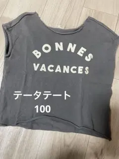 ３日間限定　テータテート Tシャツ 100cm グレー 半袖 ロゴ入りのサムネイル