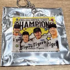 【新品】シークレットアクリルキーホルダー　阪神タイガース