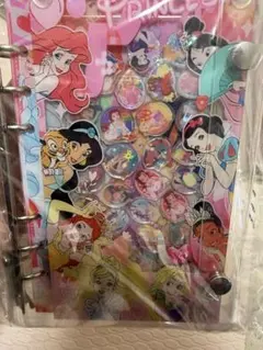 シャカシャカシール帳　ディズニープリンセス　A6サイズ