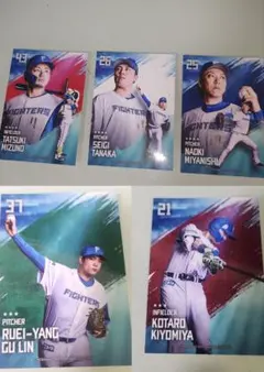 Item thumbnail for item a2323988-e12d-4add-81eb-b9181be3ea05