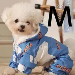 Item thumbnail for item dbcb08f0-e5a7-465c-8996-84c7fecff045