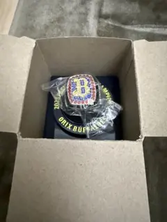 【新品未開封品】2022 Orix Buffaloes チャンピオンリング