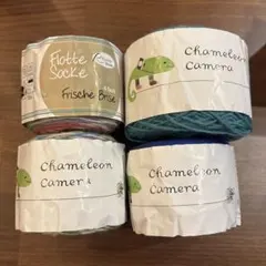 225g カメレオンカメラ　毛糸　flotte socke