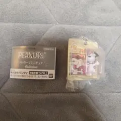 PEANUTS パッケージミニチュア Collection
