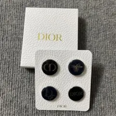 Dior ピンバッヂ