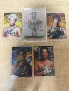 J*P様 ①RIZIN煽りVTR集 ➕②RIZIN 10th 入場者特典 - メルカリ