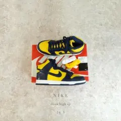 NIKE DUNK HIGH SP 