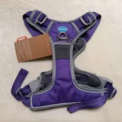 Item thumbnail for item faeff8b5-f0e5-4b84-b6f3-42b3284cb4e7