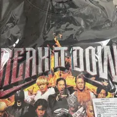 THERAMPAGE Tシャツ M BREAK IT DOWN