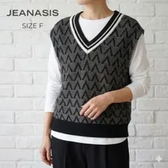 JEANASIS ジーナシス 幾何学柄 ニットベスト Vネック 総柄 F 大きめ
