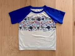 patagonia パタゴニア キャプリーン デイリー 2T