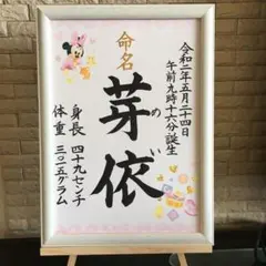 命名書・A４　毛筆　手書きオーダー