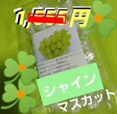 2025年最新】ムラマツ製菓 ボンボンの人気アイテム - メルカリ