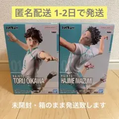 ハイキュー!! ポージングフィギュア 及川徹 岩泉一 A/B セット