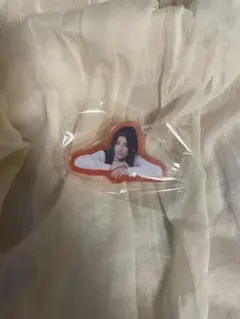 エーステ　アクリルクリップ　泉田莇