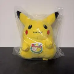 ポケットモンスター ポケモン30周年記念 おかえり！ピカチュウ1/1
