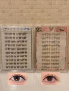 Item thumbnail for item ceda1e19-5518-4fd4-907a-8d7e7900607e