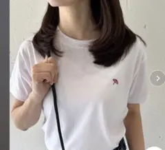 新品‼️【Arnie Arnold Palmer】刺繍Ｔシャツのサムネイル