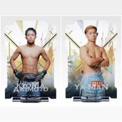 Item thumbnail for item bebcf265-e7a4-48a6-998f-9ee29295e0fb