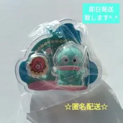 サンリオ　パッケージチャーム　ハンギョドン
