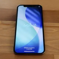 Apple iPhone 12 Pro 256GB SIMフリー