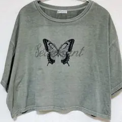 Item thumbnail for item 3ec75667-7898-45b8-be69-96287a8365b7