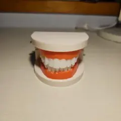 Item thumbnail for item f03600cc-1a81-4575-9603-c416378de8ea