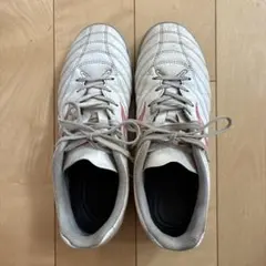 ミズノMIZUNO モナルシーダネオ　トレシュー　24.5㎝のサムネイル