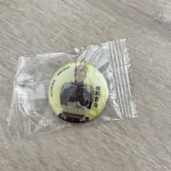 カグラギ・アオイ　マグネット未使用