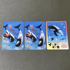2026年最新】鳥羽水族館コレクションカードの人気アイテム - メルカリ