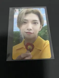 SEVENTEEN セブチ ジョシュア sector17 トレカ