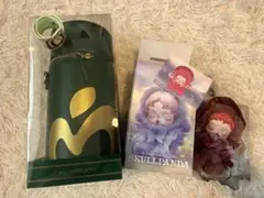 あっぷるどりんく様専用(ペンラケースのみ)