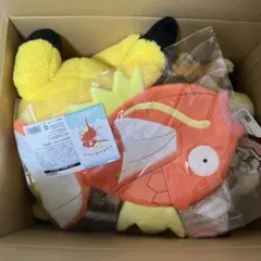 ダンボール開封のみ　ピカピカボックス 2026 抜き取りなし