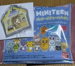 miniteenシャスミ　その他セット 2026年最新】シャスミの人気アイテム - メルカリ