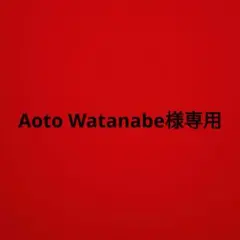 ARMY ナイロンジャケット ライトグレー