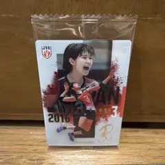 木村沙織 バレーボール日本代表 トレーディングカード
