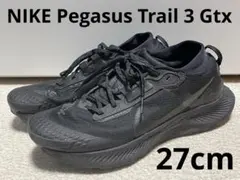 2026年最新】nike ペガサストレイル3 gore-texの人気アイテム - メルカリ