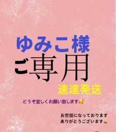 ゆみこ様 ご専用　速達　おまけ付き　值引200円　リクエスト 10点 まとめ商品