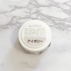 キズ 色あせ 補修 ツヤ革靴専用補色クリーム カラーリペアアイボリー