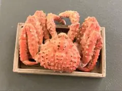 ゆでタラバガニフィギュア　海洋堂　冬の北海道大物産展のサムネイル