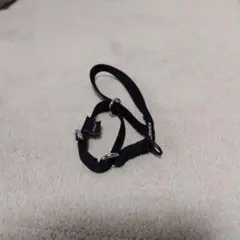 Item thumbnail for item ea40e5b4-09a3-4d4a-9189-1aa2a4355720