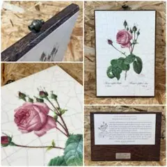 Item thumbnail for item 363d0bb4-cfe1-4dba-b1c9-31be7b24f5a6