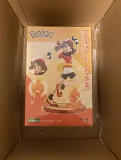 【非売品】ポケットモンスター ポケモン ハルカ アチャモ クリアポスター 非売品】ポケットモンスター ポケモン ハルカ アチャモ クリアポスター