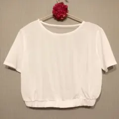 【未使用】エモダ EMODA トップス Tシャツ カットソー　シアー　シースルー