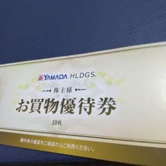 ヤマダHLDGSお買物優待券500円✕10枚